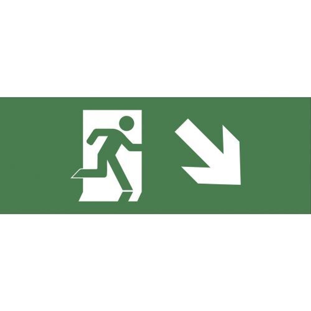 Этикетка самоклеящаяся 200х60мм "Фигура/стрелка вниз вправо" DPA/DBA INFO-DBA-006 ЭРА Б0048458