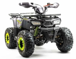 Квадроцикл Motoland 125 WILD (2020 г.)