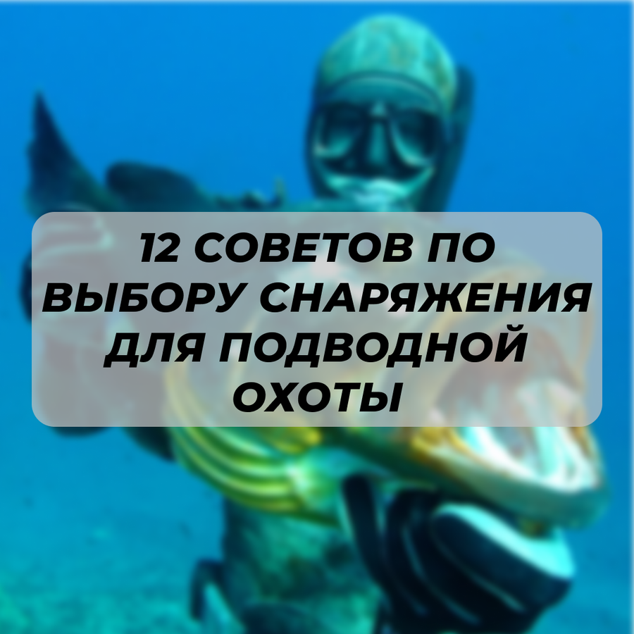 12 правил подбора снаряжения для подводной охоты