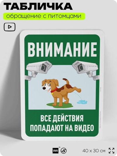 Табличка "Внимание, все действия попадают на видео" на дверь и забор, для двора, дома, подъезда, 40х30 см, Silver Plane x Айдентика Технолоджи