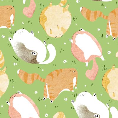 Котовасия на лужайке