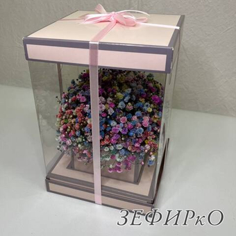 Радужная гипсофила в подарочной коробке 16х23