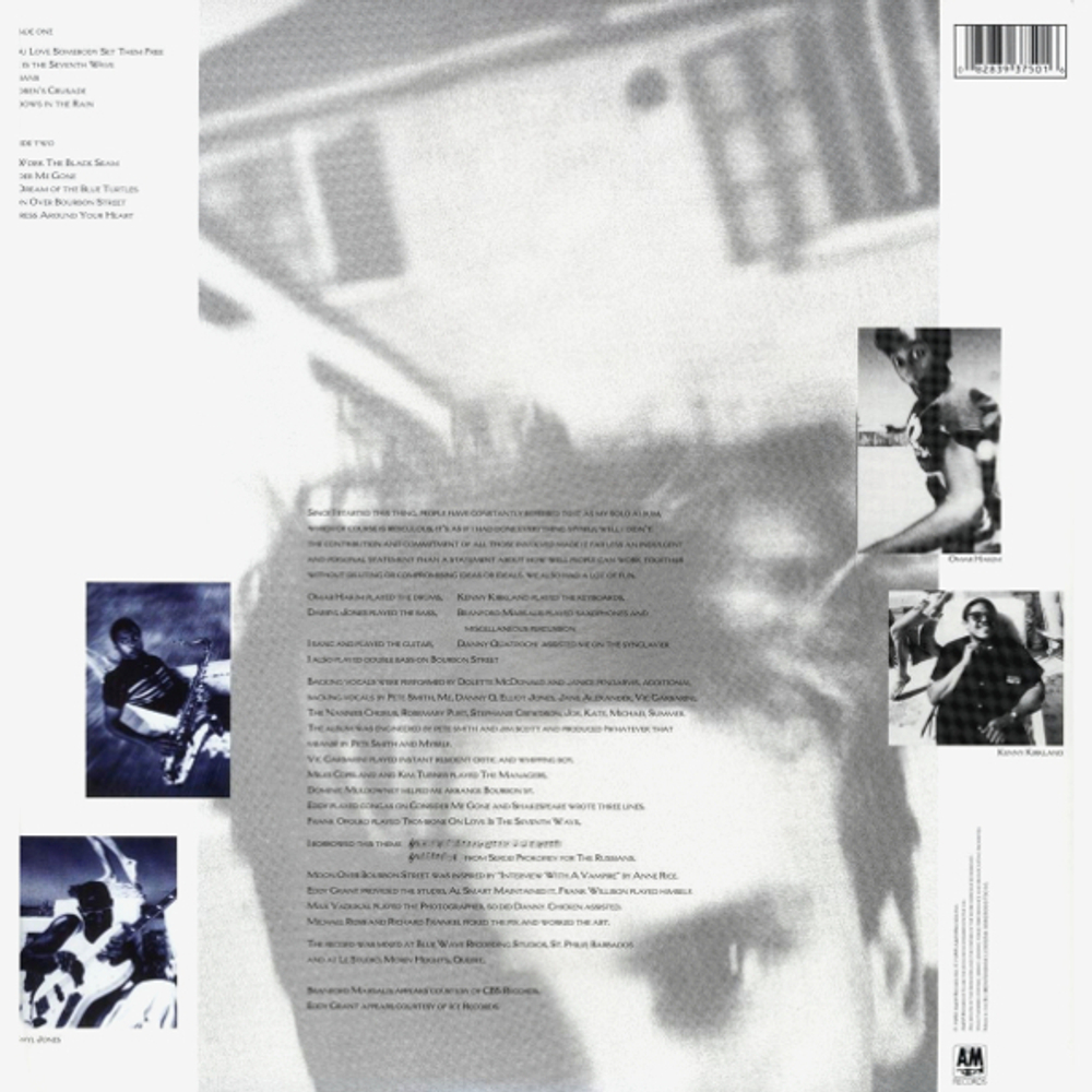 Sting / The Dream Of The Blue Turtles (LP)