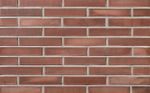 Кирпич клинкерный Plinfa Iron 2313, 270x85x50