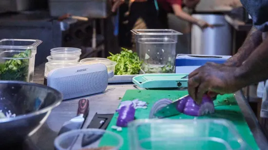 Беспроводная Bluetooth-акустика Bose SoundLink Flex White Smoke