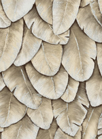 Кариота-62 (коричневая) эксклюзив