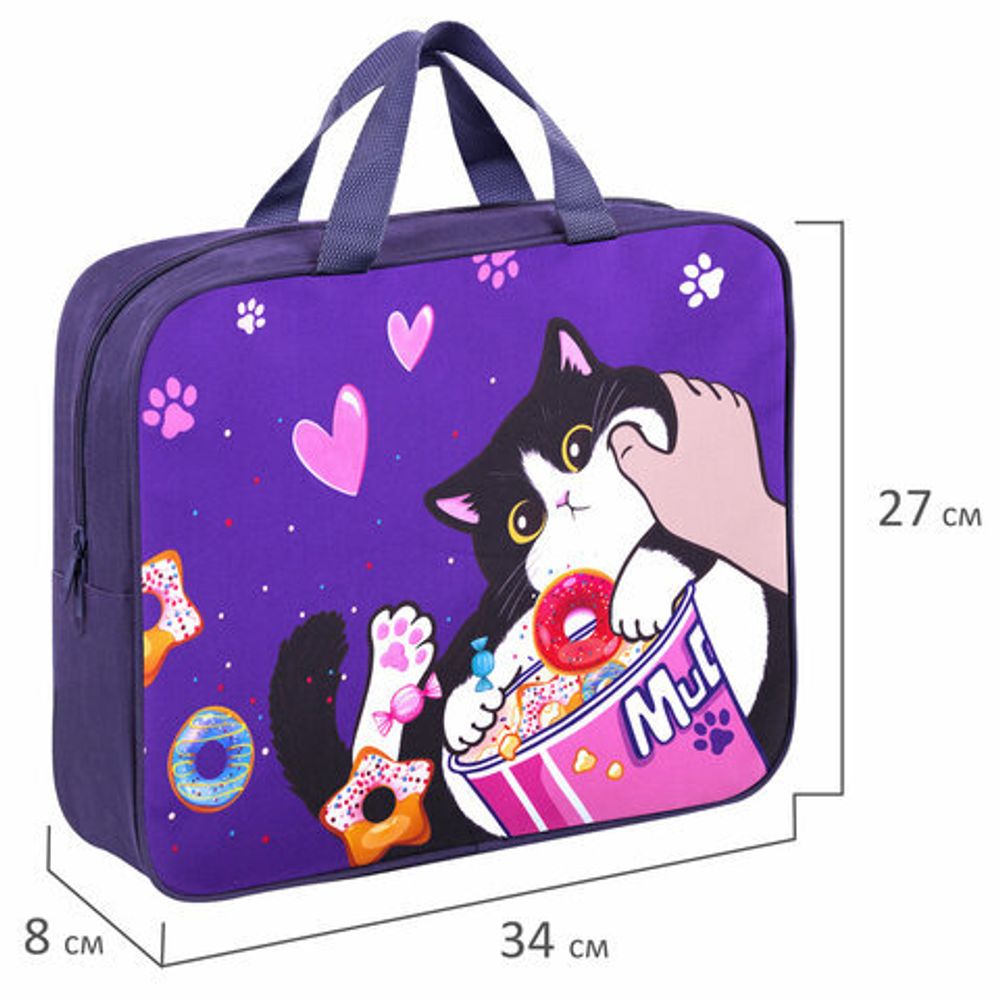 Папка на молнии с ручками BRAUBERG KIDS А4, 1 отделение, полиэстер, 80 мм, "Sweet cheeks", 272120