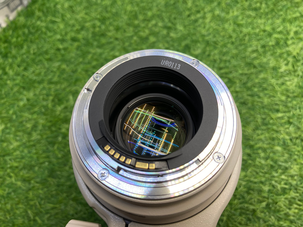 Canon EF 35-350mm f/3.5-5.6L USM