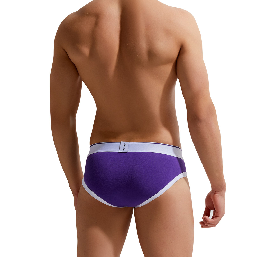 Мужские трусы брифы фиолетовые GAUVINE 2002