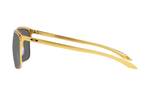 Oakley Sunglasses