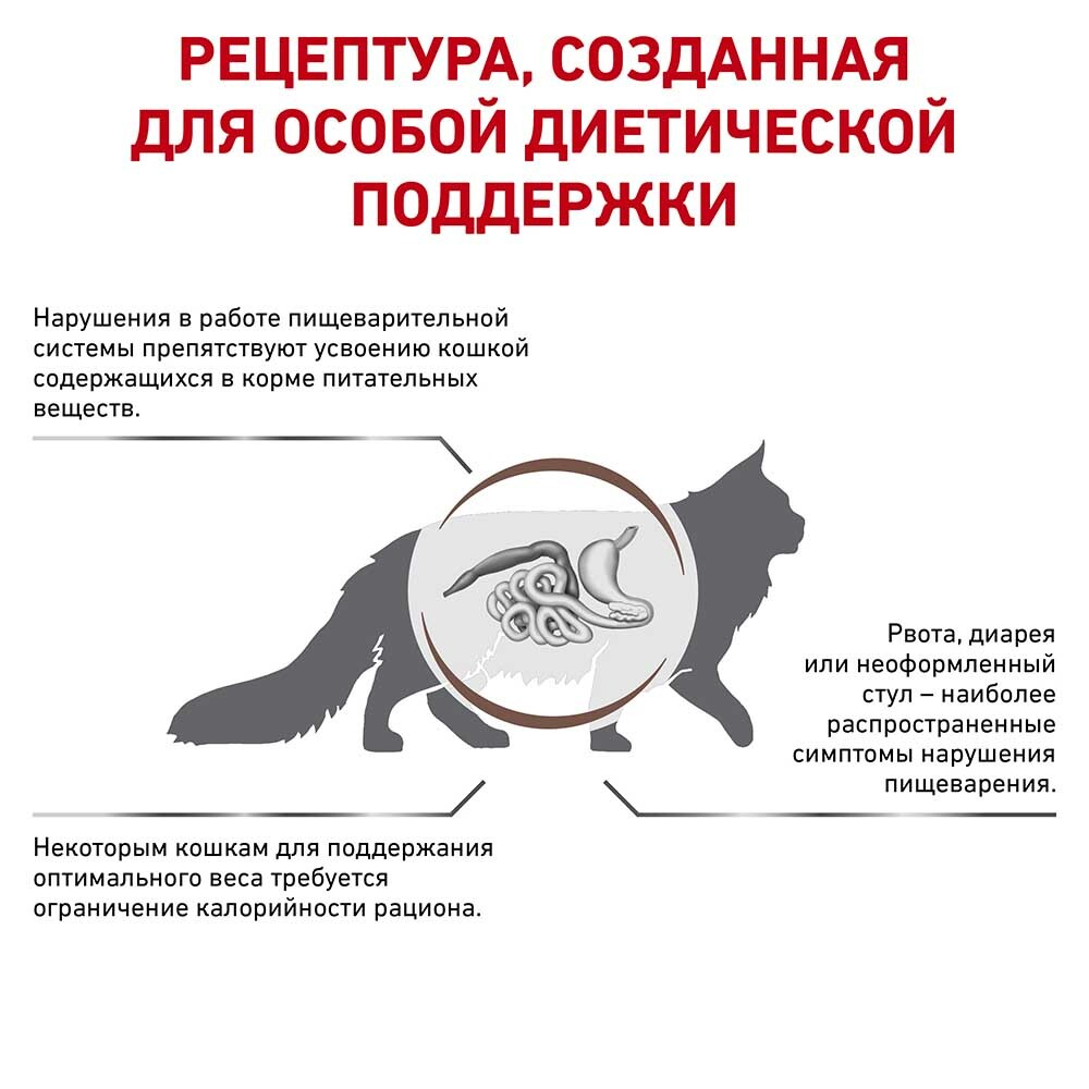 Royal Canin VET Gastro Intestinal Moderate Calorie - диета для кошек с проблемами ЖКТ (ограничение жиров)