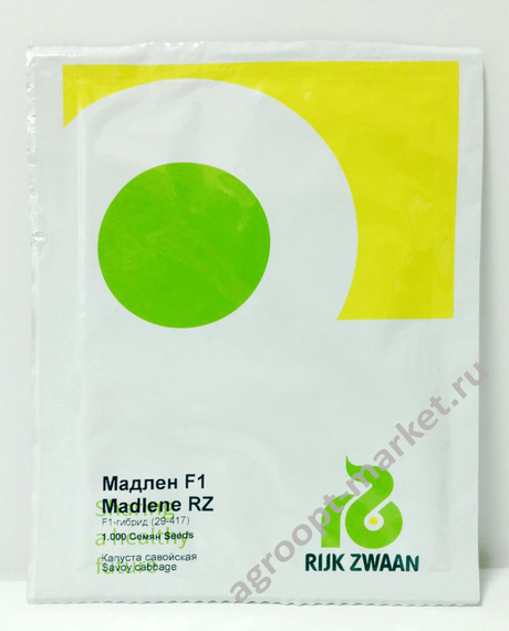 Мадлен F1 семена капусты савойской (Rijk Zwaan / Райк Цваан) упаковка 1000 шт. – фото 7