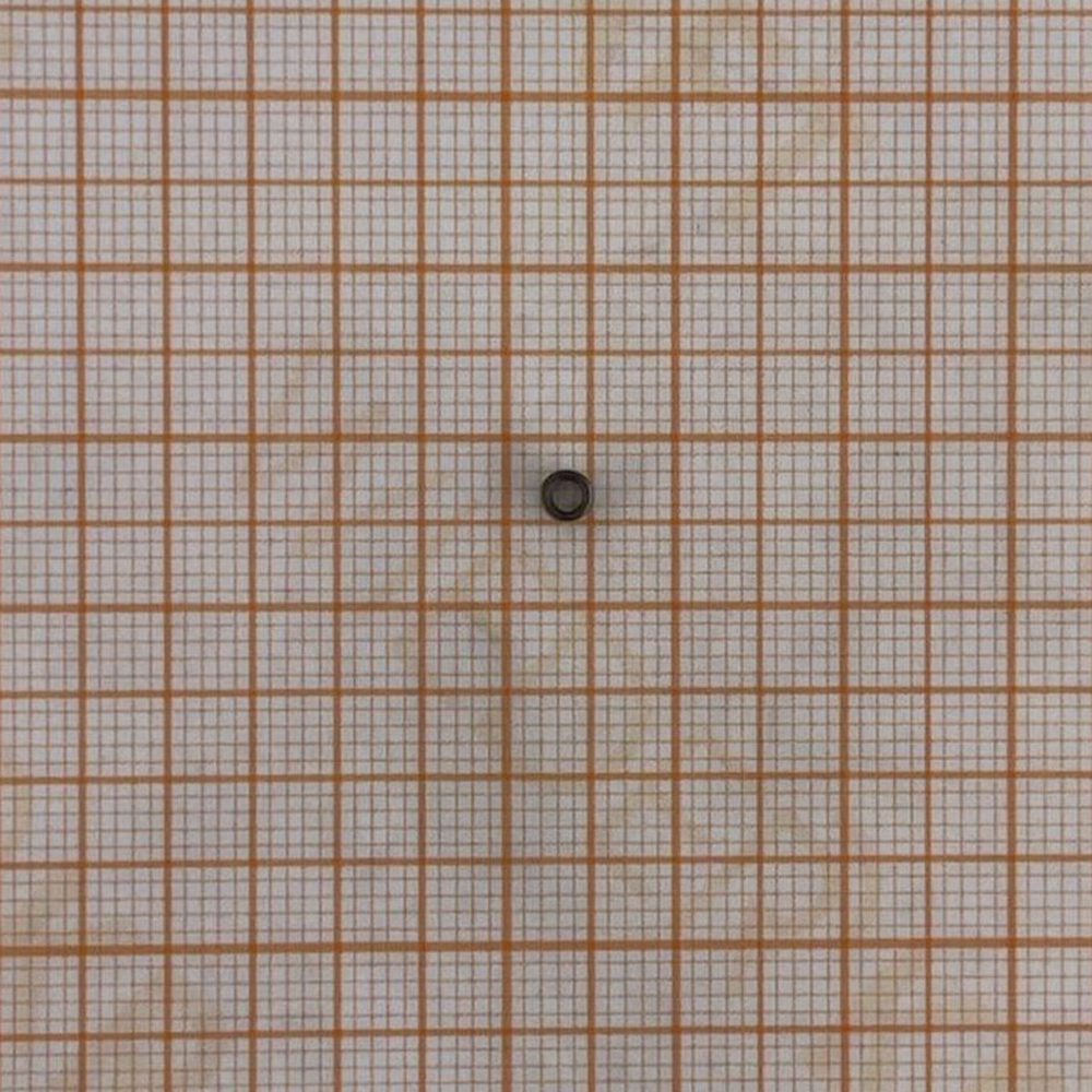 WDK-20840-09 Пружина