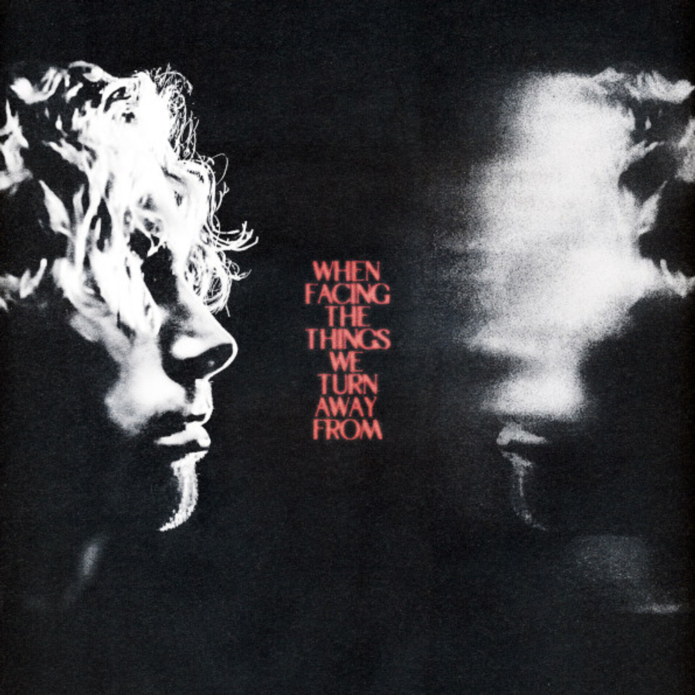 Luke Hemmings / When Facing The Things We Turn Away From (LP)