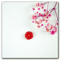 Тысячелистник