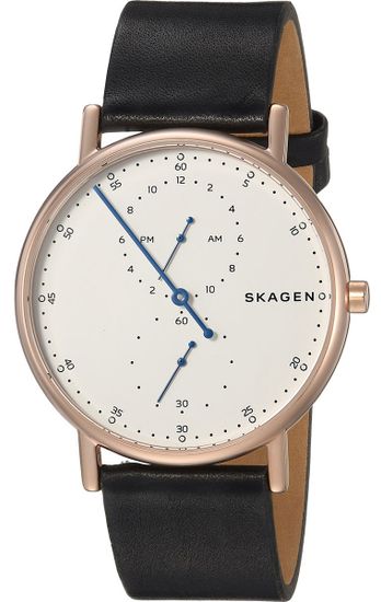 Мужские часы Skagen SKW6390