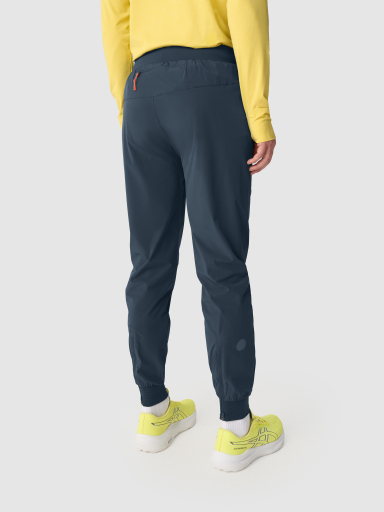 Брюки мужские GRI Джеди синие