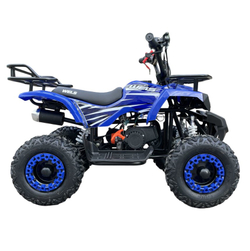Квадроцикл WELS Thunder mini 2T