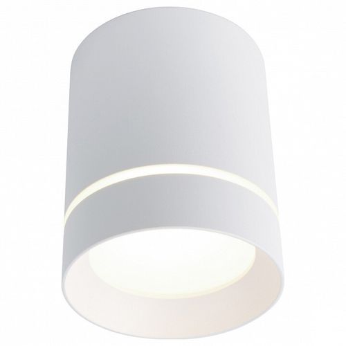 Накладной светильник Arte Lamp A1909PL-1WH