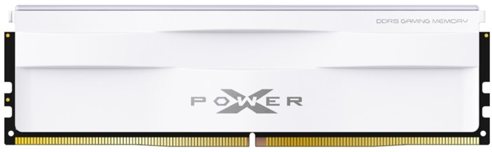 Модуль памяти DDR5 16GB Silicon Power SP016GXLWU560FSG