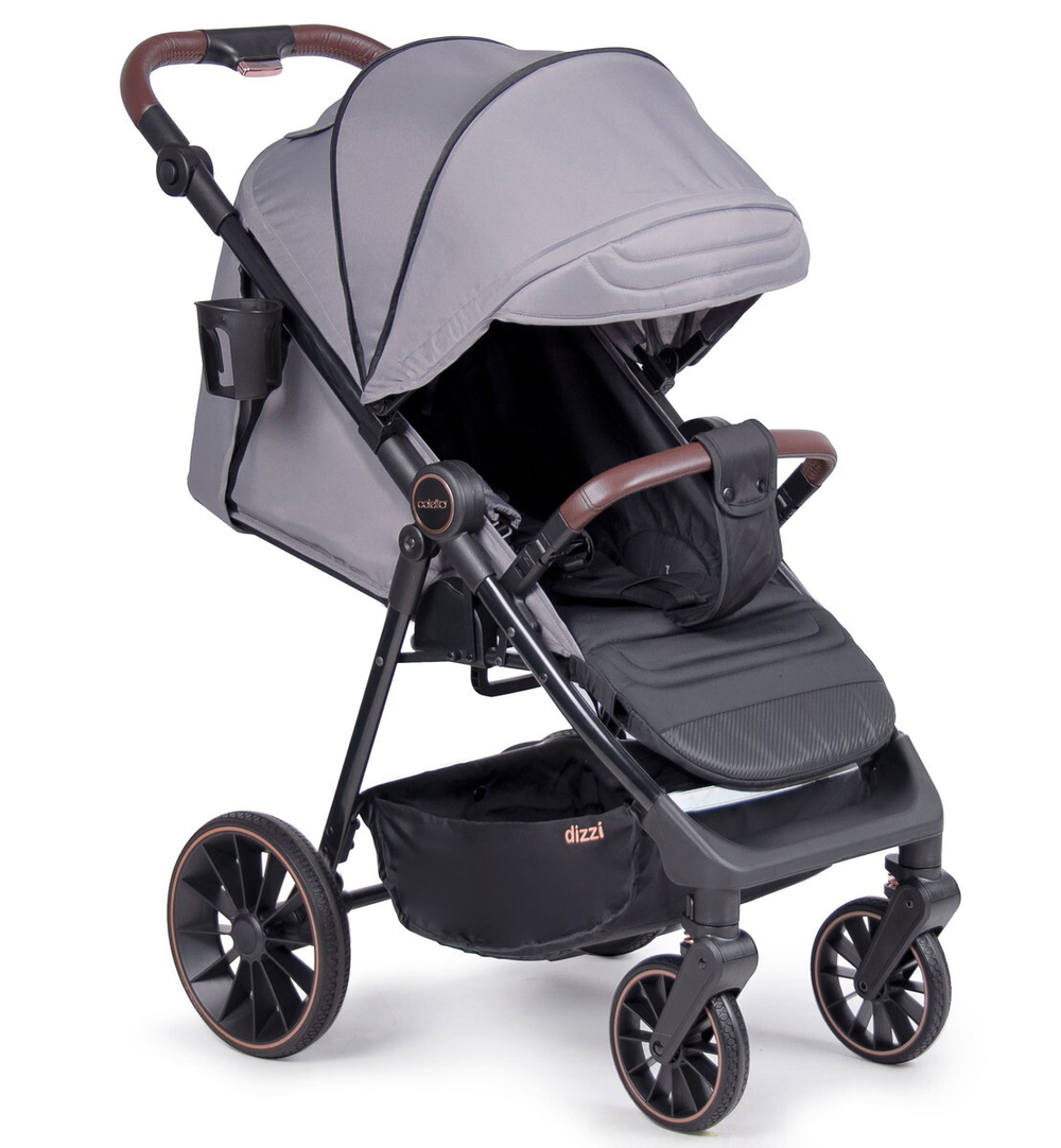 Детская прогулочная коляска Coletto Dizzi Steel