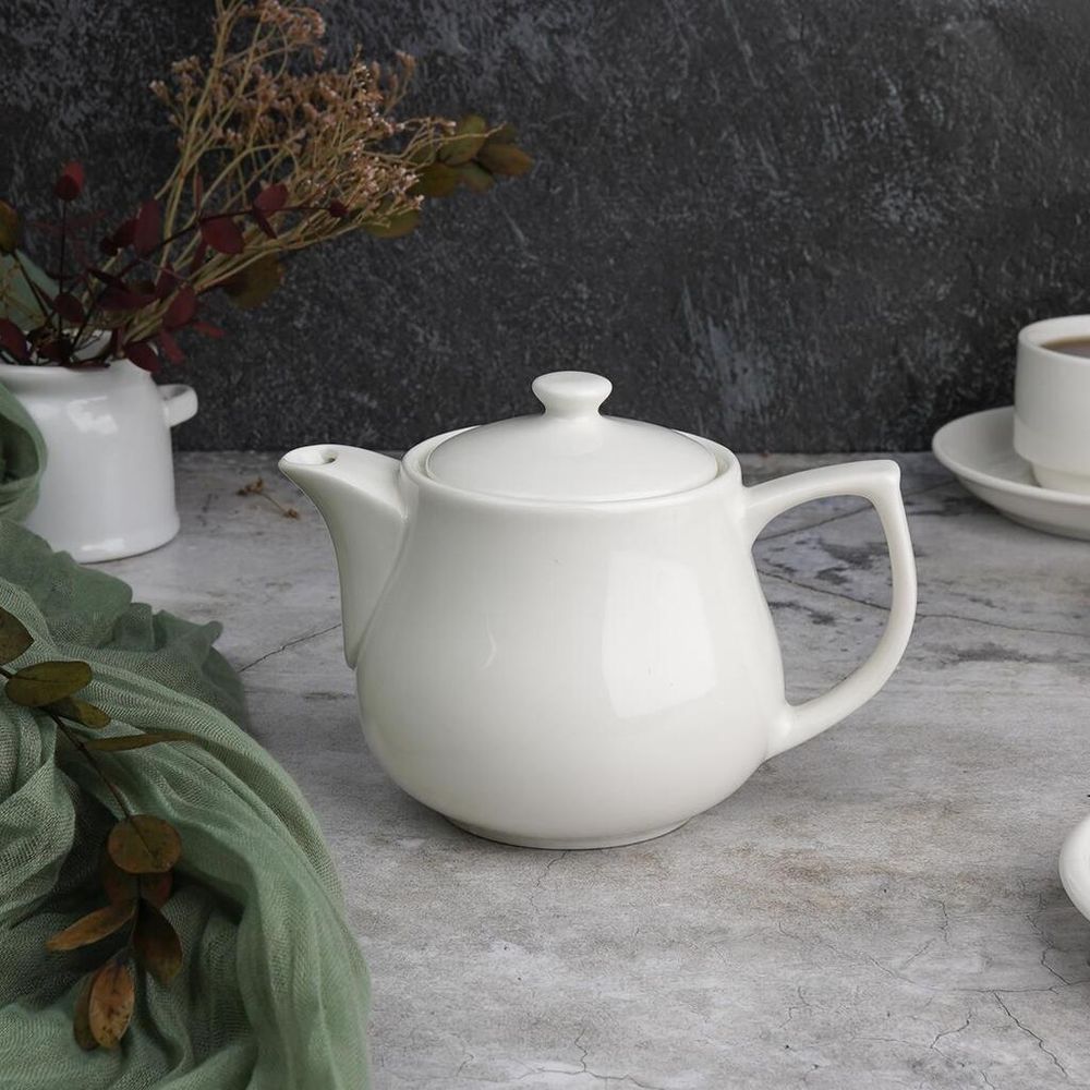 Чайник 450 мл d 10,1 см h11 см с фильтром белый фарфор P.L. Proff Cuisine [1]