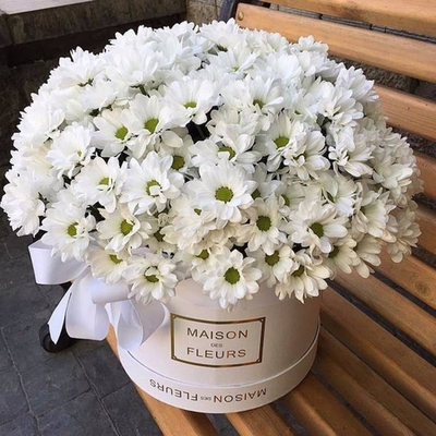 Аквабокс с белой ромашкой