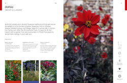 The Flower Thesaurus: Colourful Pairings and Plant Ideas for the Creative Gardener