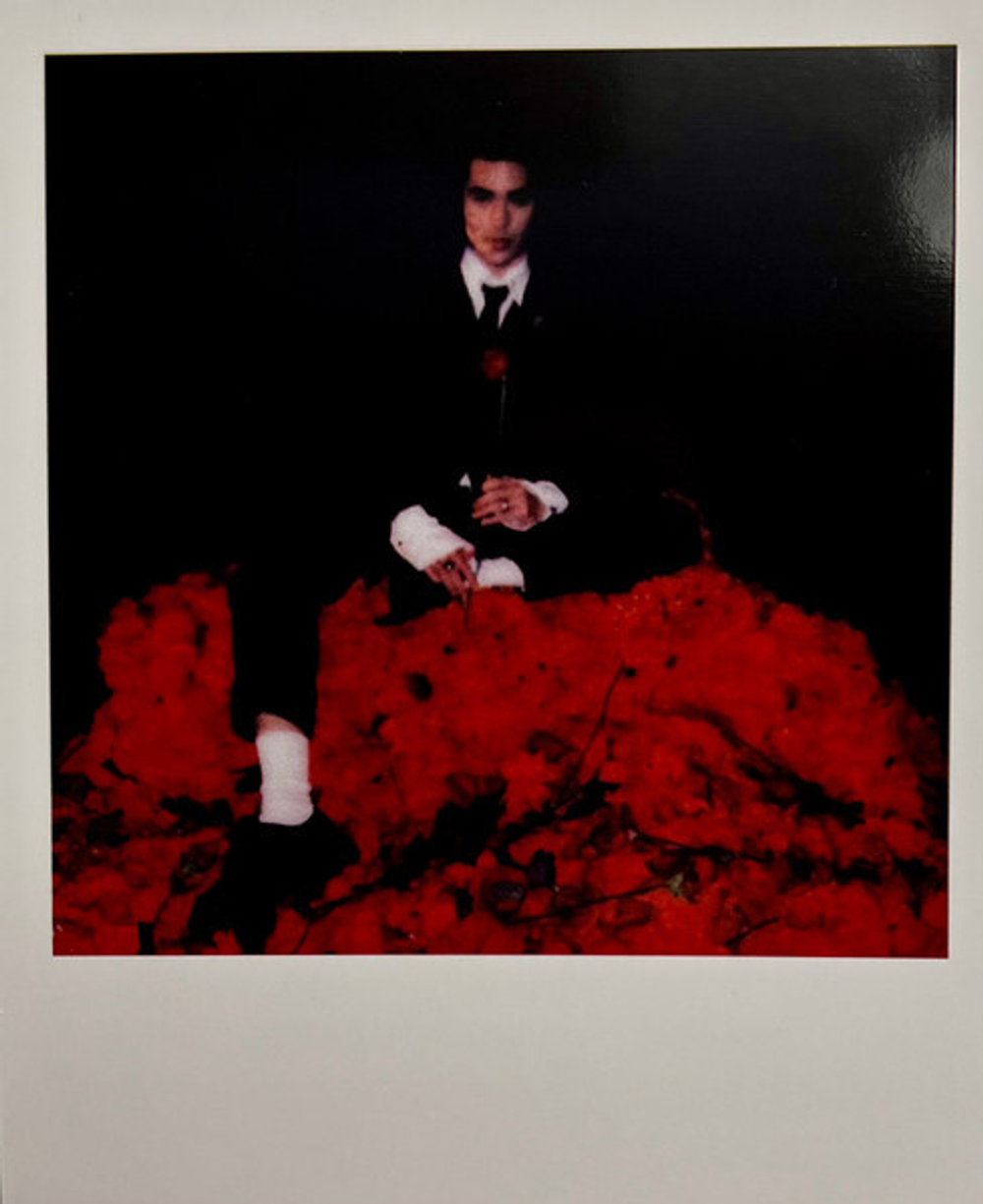 Conan Gray / Superache (Coloured Vinyl)(LP)