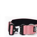 Ошейник Combat 5 см BullyBillows