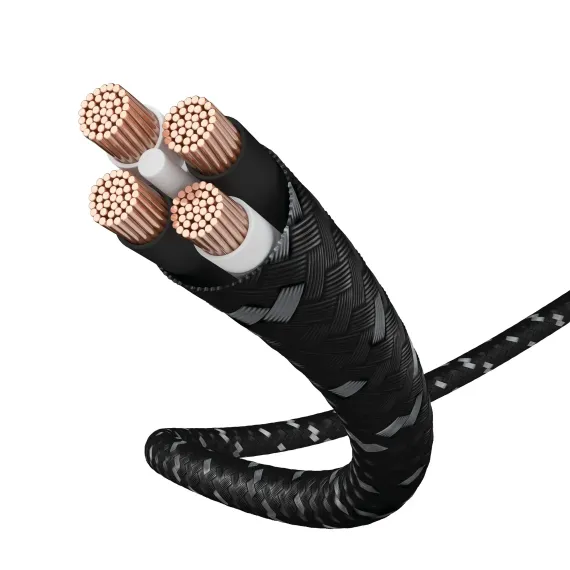 Inakustik Exzellenz LS-40 Single Wire BFA Banana Black 2х2m