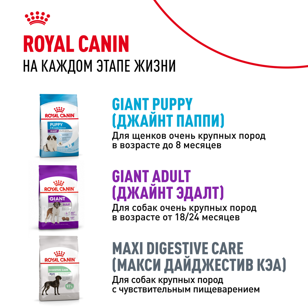 Royal Canin Giant Junior Джайнт Юниор Корм сухой для щенков очень крупных пород возраст от 8 до 18/24 месяцев 3,5кг