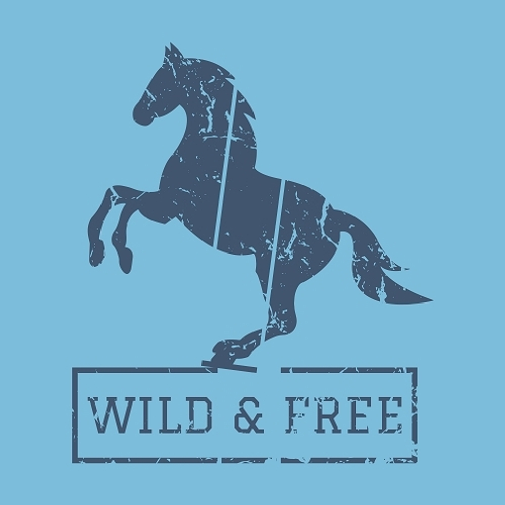 принт PewPewCat с лошадью Wild and free синий для голубой футболки