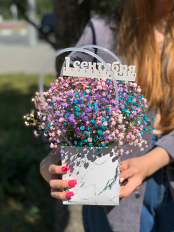 День знаний №6 Сумочка с радужной гипсофилой