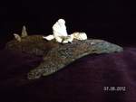 "У костра", миниатюра