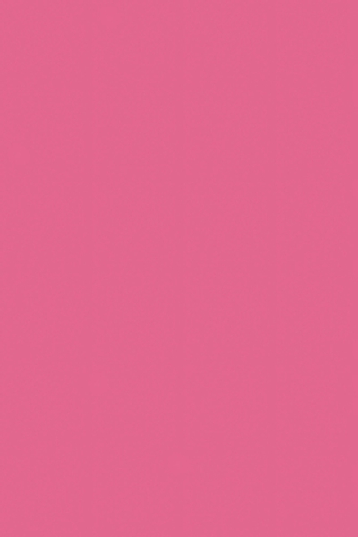 Бумага цв. А4 10л. тонир. "Малиновый" (Апплика)