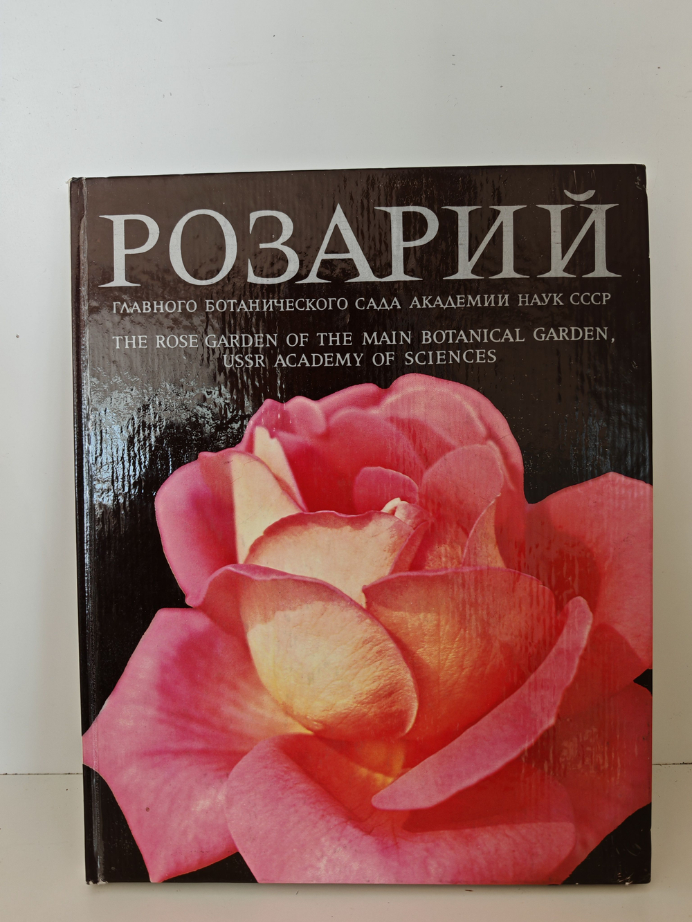 Розарий Главного ботанического сада Академии наук СССР