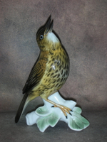 Статуэтка. Фарфор. Птица Дрозд. Karl ENS. Германия