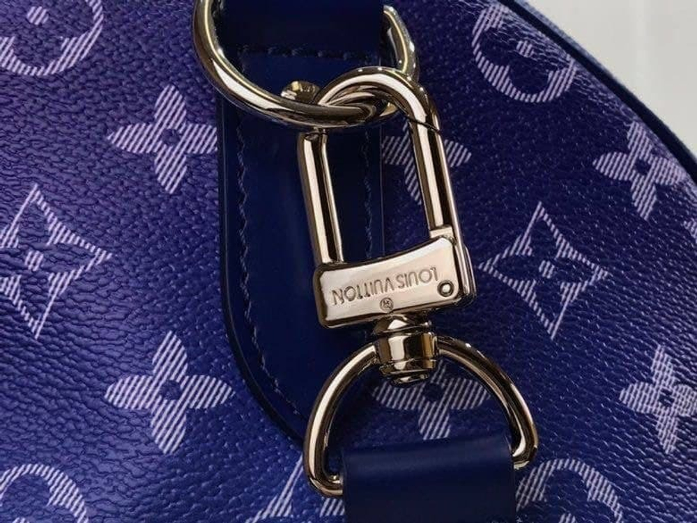 Сумка Louis Vuitton