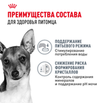 Royal Сanin Mini Urinary Care Мини Уринари Кэа Корм сухой диета для собак мелких размеров с чувствительной мочевыделительной системой 3кг