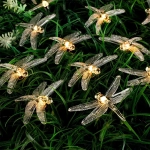 Гирлянда для улицы «Стрекоза» 3 м 20 ламп LED чёрный провод, 2 реж.,IP-55, Теплый белый (солнечная батарея)