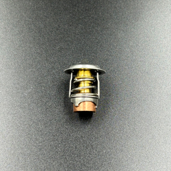 Термостат Mercury 40-60 (Sinera)