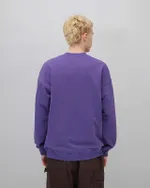 Толстовка Anteater Crewneck Streetwear Violet