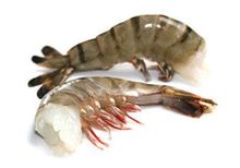 Тигровые креветки 16/20 без головы, 1кг Тигровые креветки 16/20 без головы, 1кг