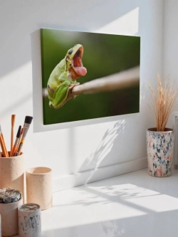 Картина на стену 40 X 50 Лягушка