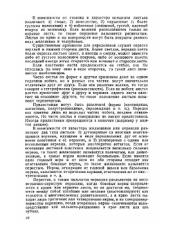 Определитель древесных пород | В. Н. Сукачев