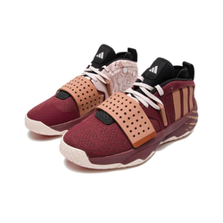 Мужские кроссовки Adidas Dame 8 EXTPLY 'Legends Unleased ‑ Foo Lion' ID8422