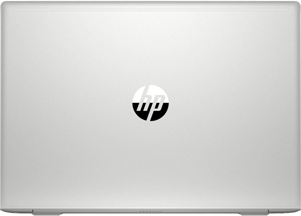 Ноутбук HP ProBook 455/ Ryzen 3 4300U /8Gb /SSD 256Gb /AMD Radeon Graphics /15.6 FHD IPS BT Cam / Win10Pro /Серебристый 455 G7 1L3U0EA