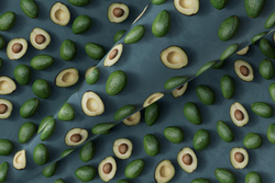 Микровелюр Botanica 11 / Ботаника 11