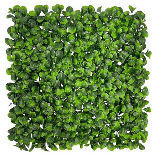 Панель из зелени на сетке 50х50 см.